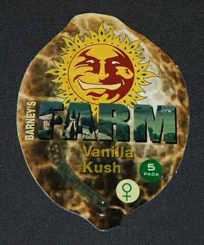 Vanilla Kush Feminized Marijuana Seeds