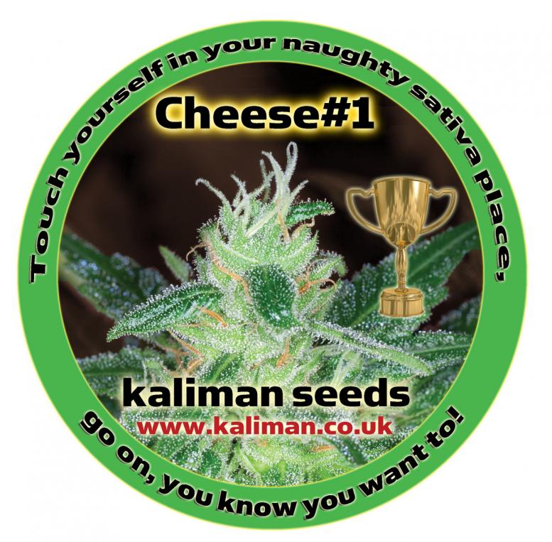 Cheese #1 Feminized Marijuana Seeds