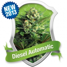 Diesel Automatic Feminized Marijuana Seeds