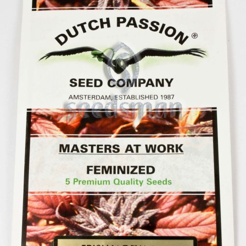 Frisian Dew Feminized Marijuana Seeds