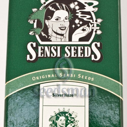 Silver Haze Regular Cannabis Seeds