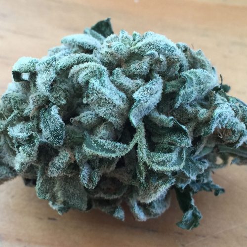 Auto Grape Crinkle Feminized Marijuana Seeds