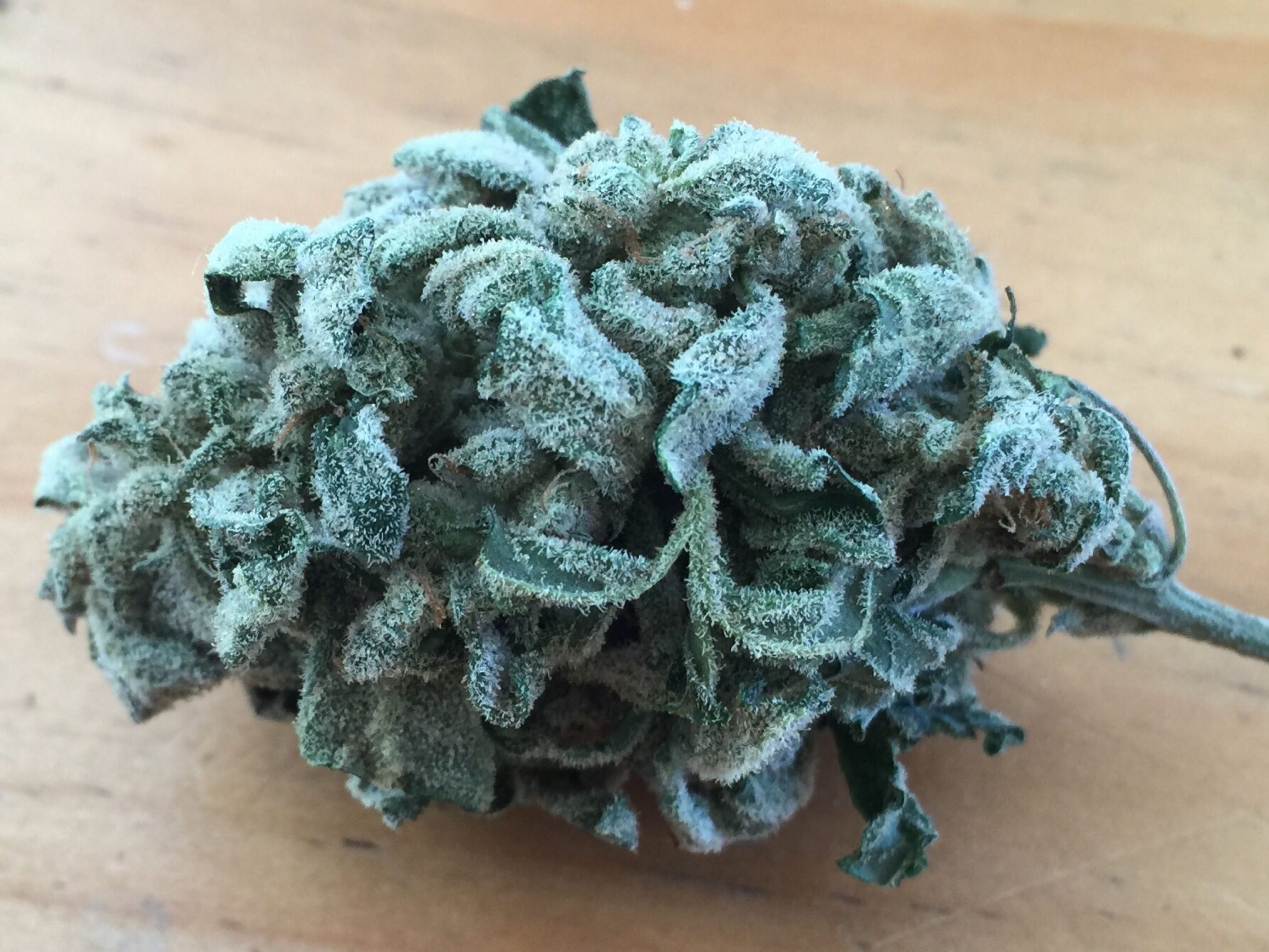 Auto Grape Crinkle Feminized Marijuana Seeds