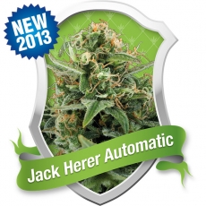 Royal Jack Automatic Feminized Marijuana Seeds