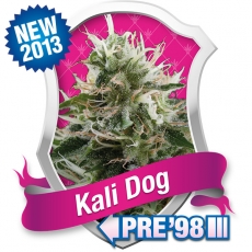 Kali Dog Feminized Marijuana Seeds