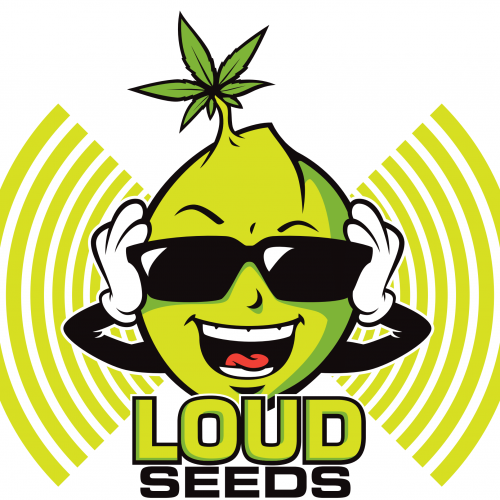 Loud Seeds