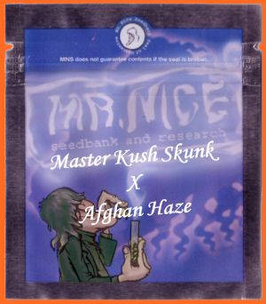 Master Kaze Regular Cannabis Seeds (Master Kush Skunk x Afghan Haze)