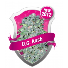 O.G. Kush Feminized Marijuana Seeds