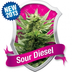 Sour Diesel Feminized Marijuana Seeds