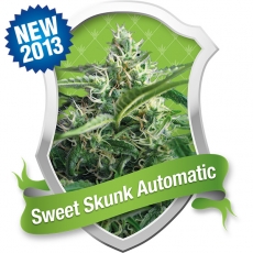 Sweet Skunk Automatic Feminized Marijuana Seeds