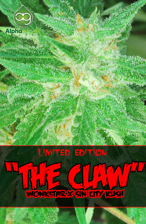 The Claw Regular Cannabis Seeds