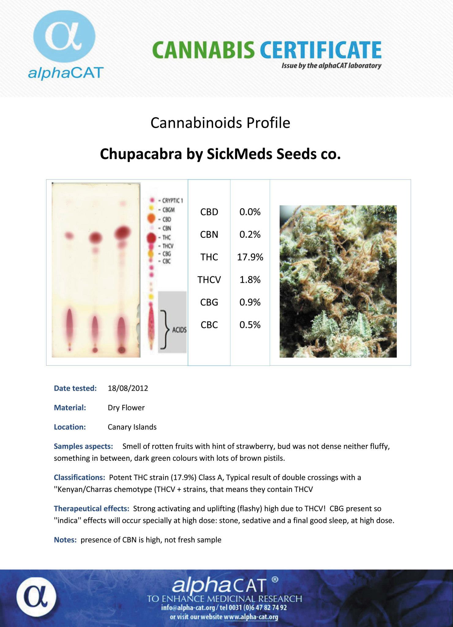 Chupacabra Feminized Marijuana Seeds