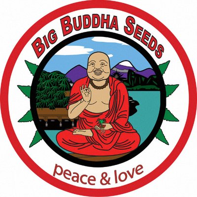Big Buddha Seeds